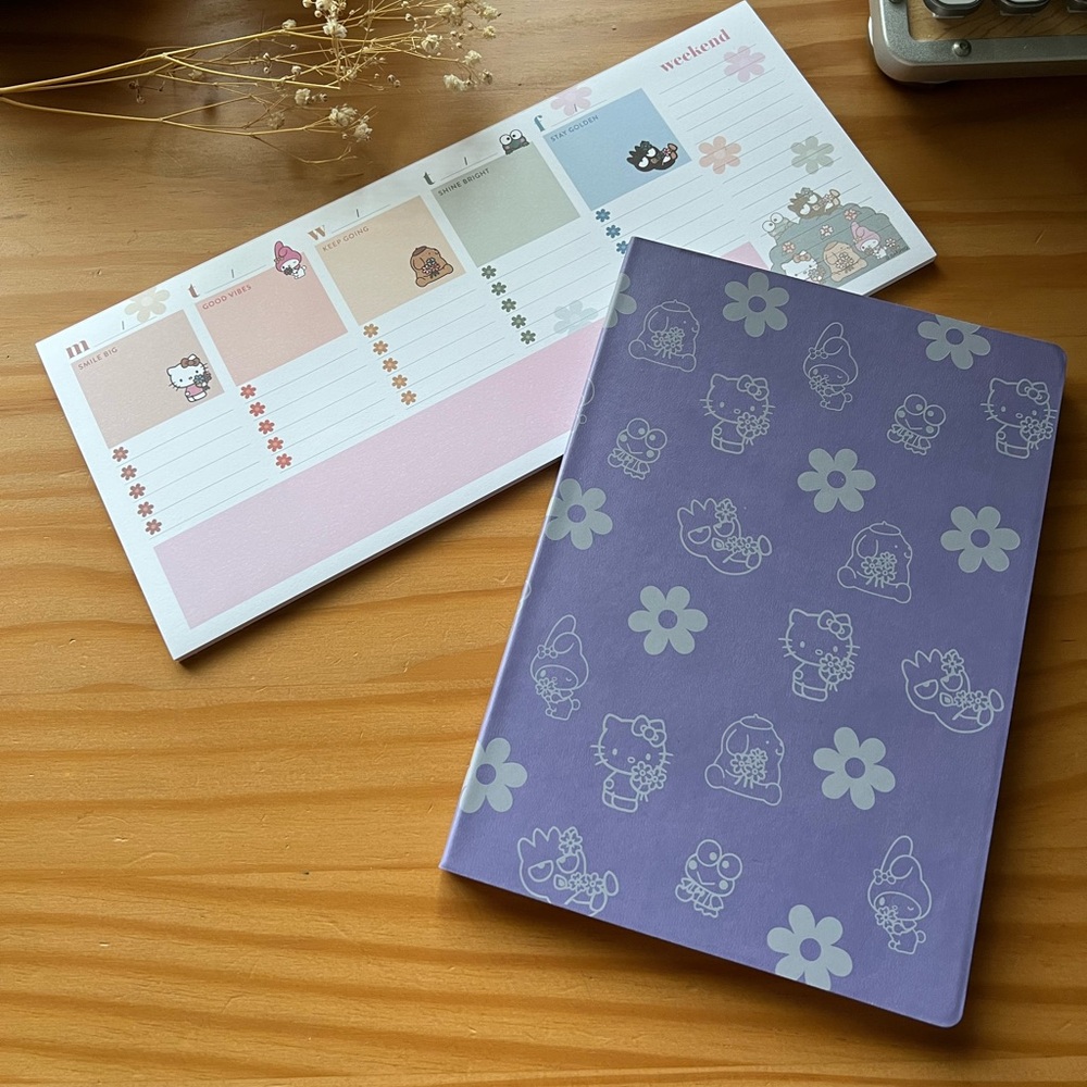 Sanrio x Erin Condren Stationery Bundle -Lined Notebook & Weekly Notepad Planner
